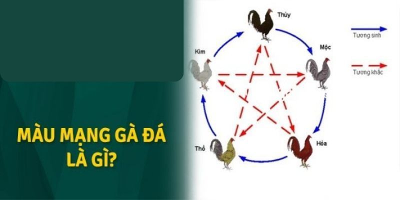 Thế nào là màu mạng gà đá?