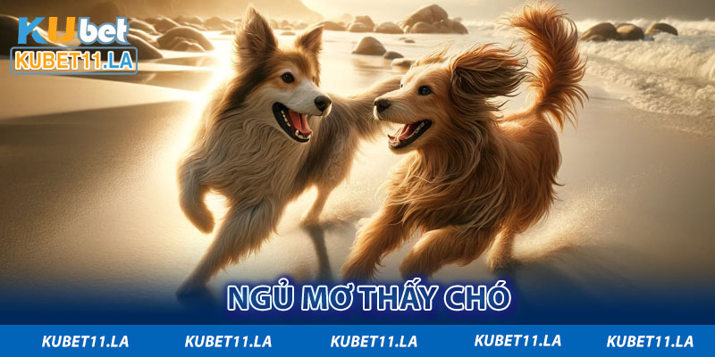 Ngủ mơ thấy chó